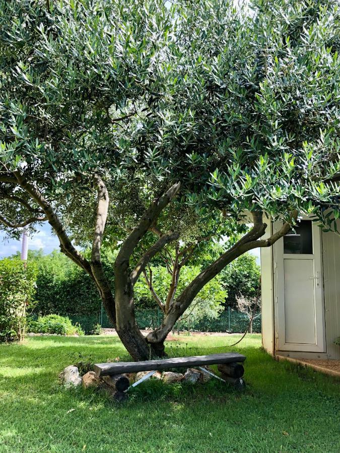 Goldfinch Estate Διαμέρισμα Banjole Εξωτερικό φωτογραφία